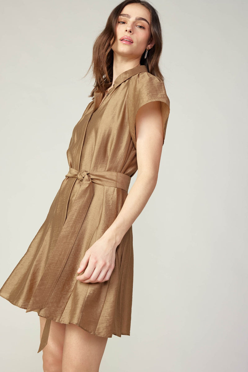 BUTTON-DOWN MIINI SHIRTS DRESS