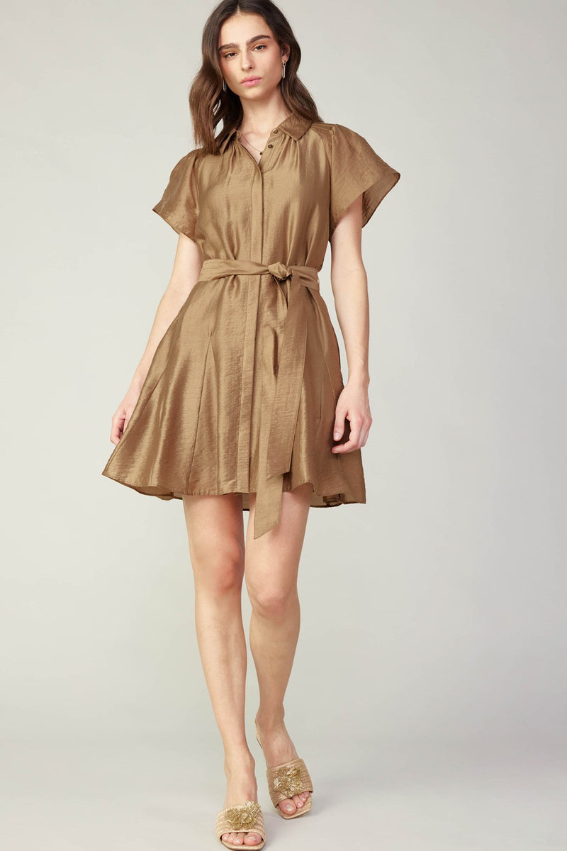 BUTTON-DOWN MIINI SHIRTS DRESS