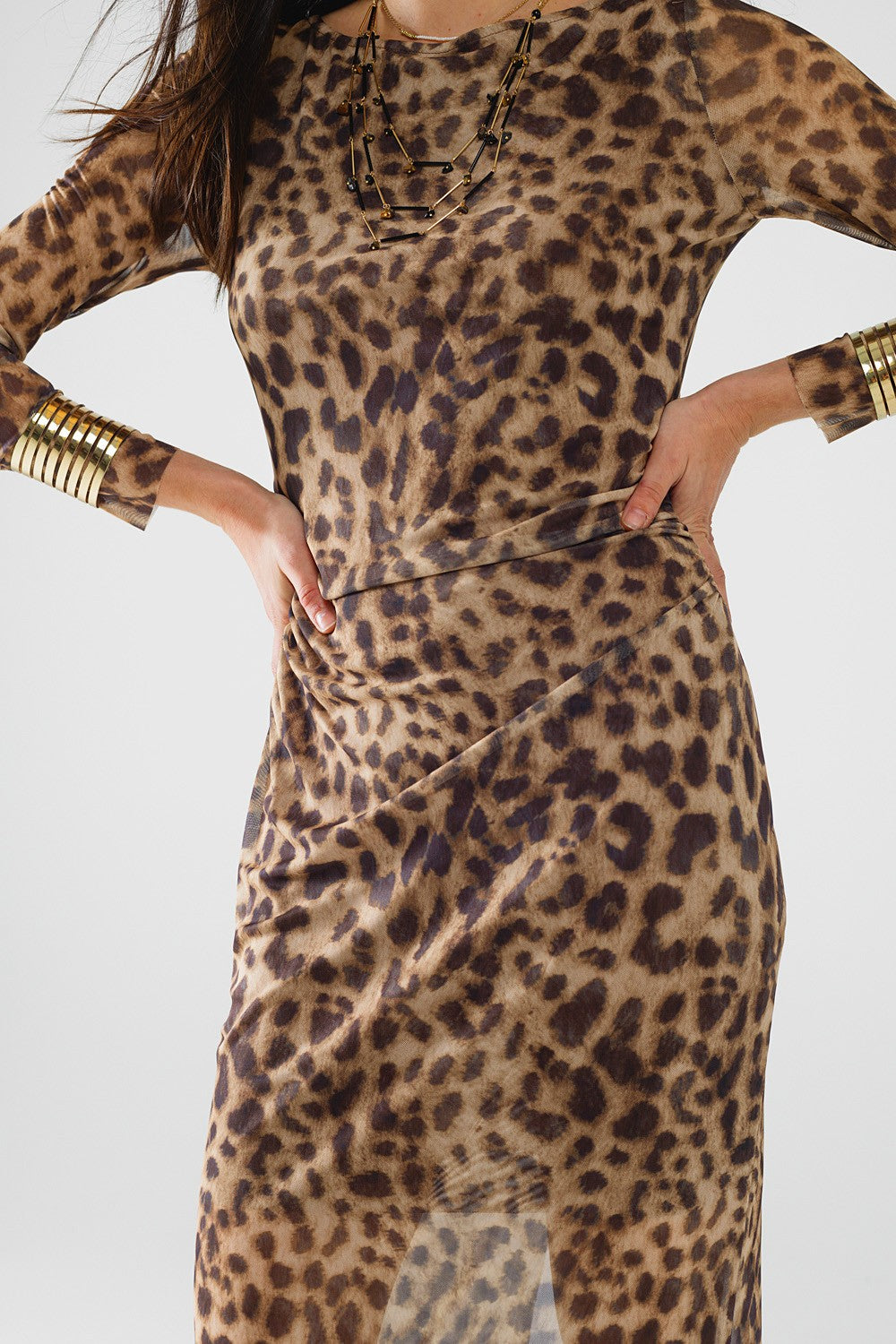 Leopard Print Mesh Long Sleeve Dress