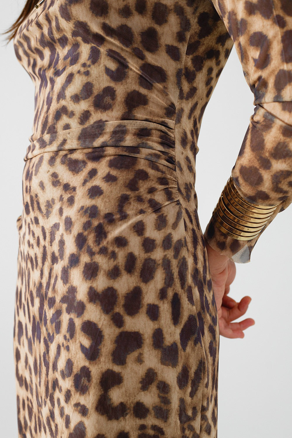 Leopard Print Mesh Long Sleeve Dress