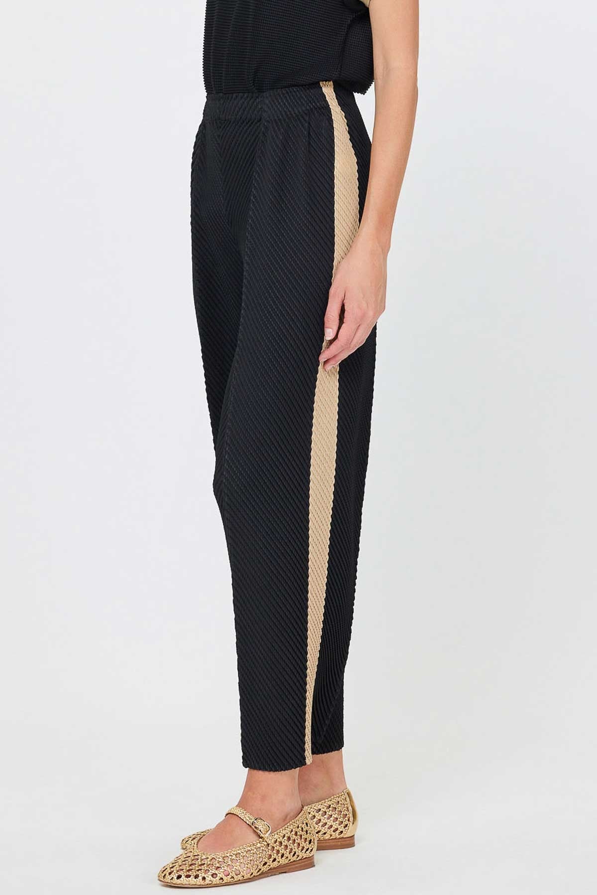 Black Pleated Wide Leg Pants with Contrast Side Stripe