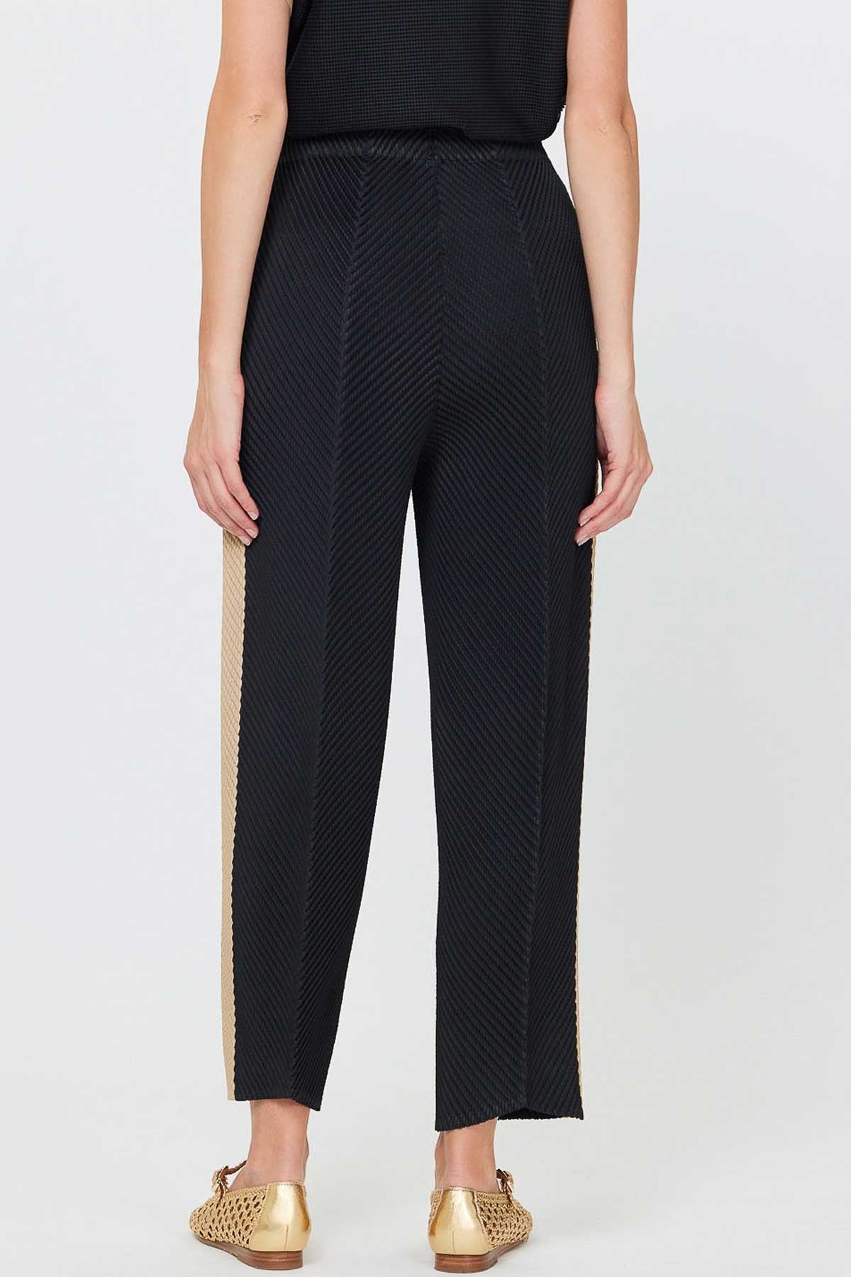 Black Pleated Wide Leg Pants with Contrast Side Stripe