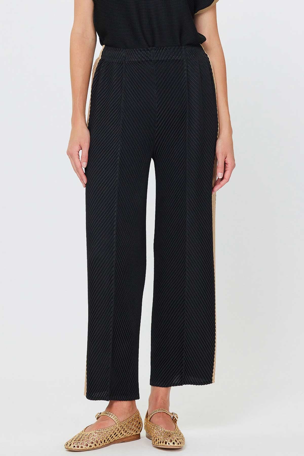 Black Pleated Wide Leg Pants with Contrast Side Stripe