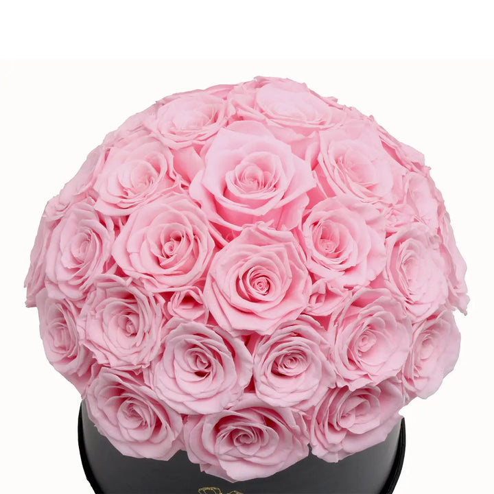 Pink Roses Dome 35