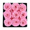 Pink Roses Velvet 9