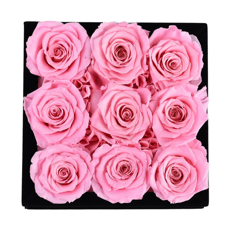 Pink Roses Velvet 9