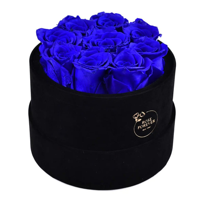 Essential Black Velvet Royal Blue Rose 9