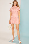 Card Lace Collar Dress Pink
