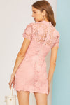 Card Lace Collar Dress Pink