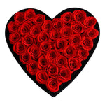 Love Red Roses Velvet 36