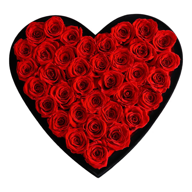 Love Red Roses Velvet 36