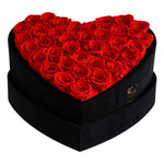 Love Red Roses Velvet 36