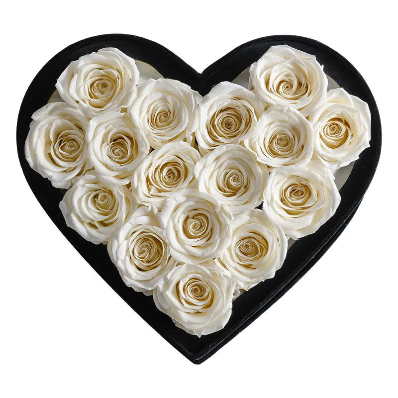 Love Ivory Roses Velvet 16