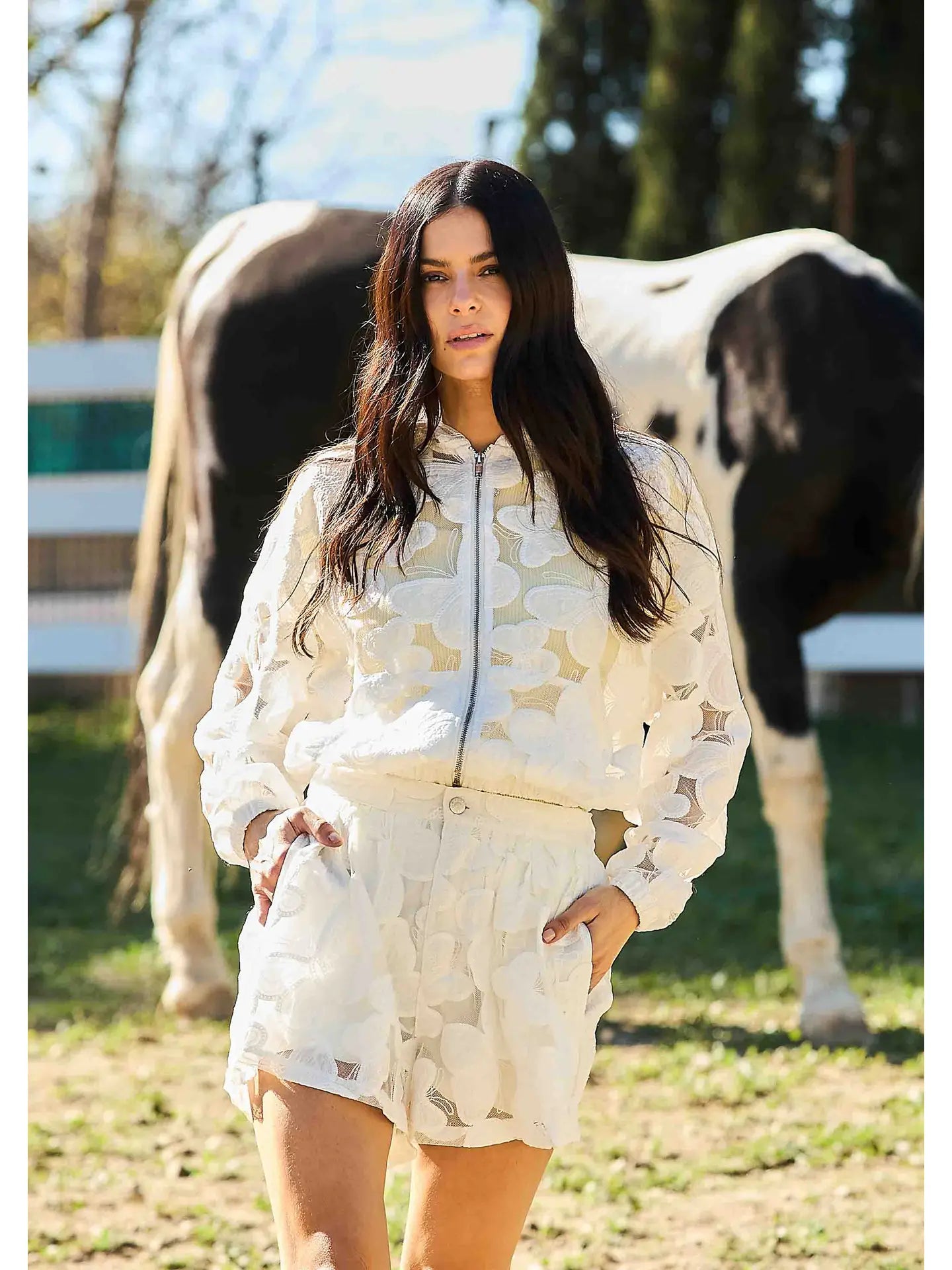 Butterfly Lace Sheer Zip Jacket and High Waisted Shorts Set
