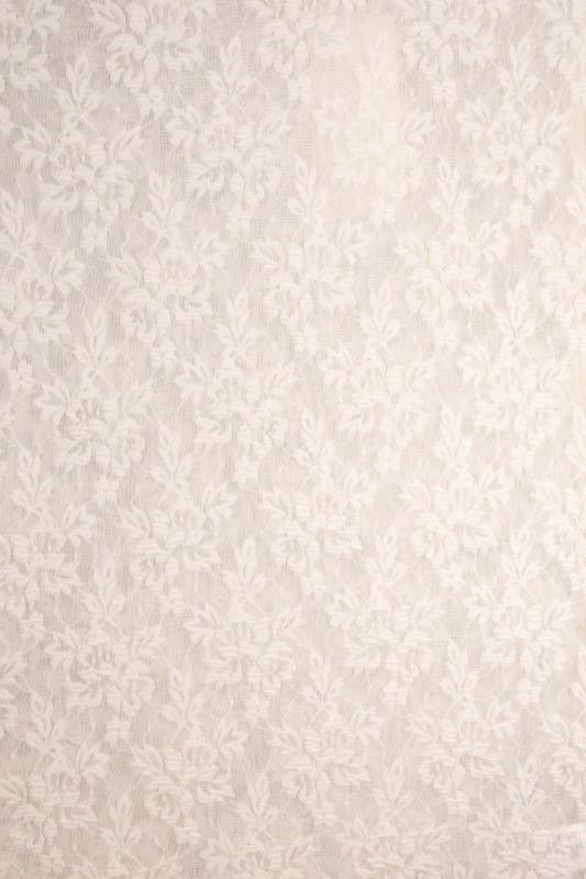 Sheer Lace Long Sleeve Top